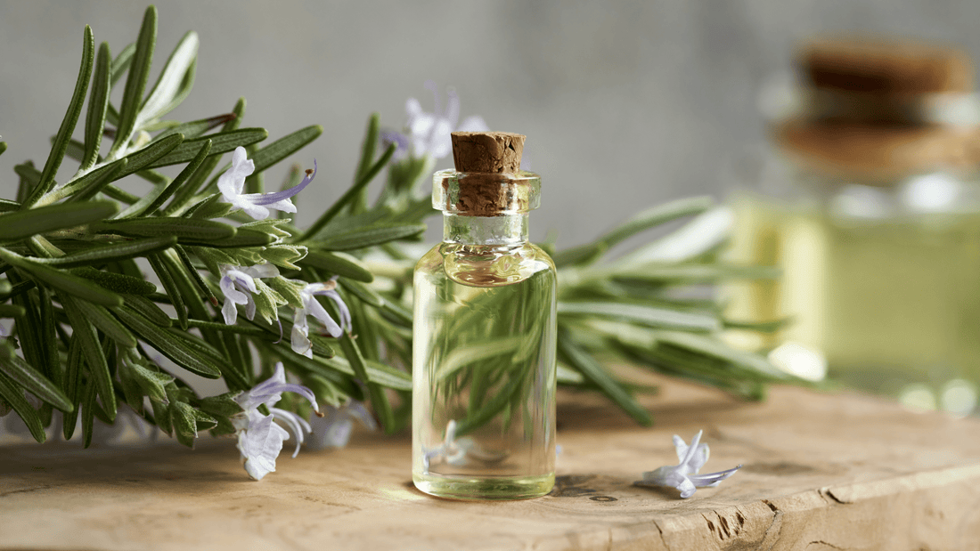 How to Use Rosemary Oil for Hair Growth & Stronger Curls - Curldo