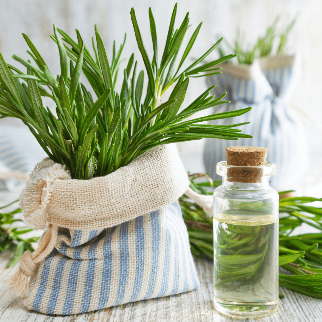 Rosemary Oil for Curly Hair - Curldo