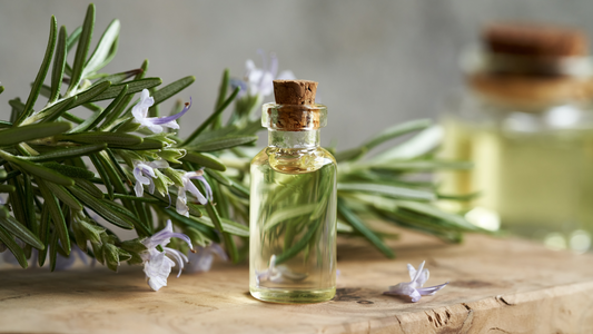 Rosemary oils and rosemary leaves